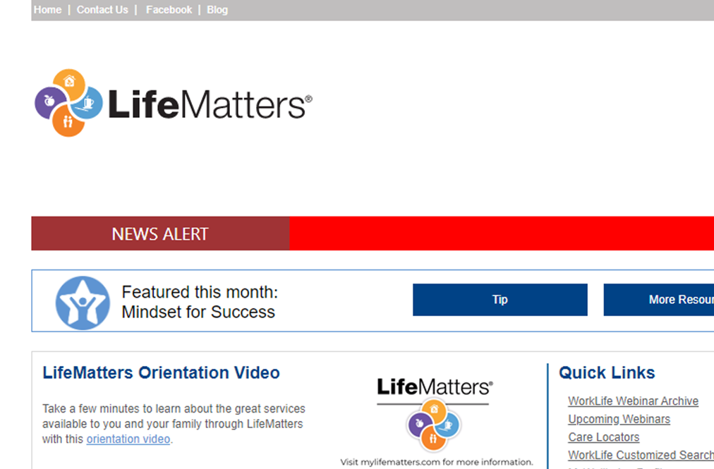image of mylifematters website with logo and text preview